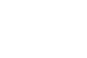 Frayne Vibez Logo White